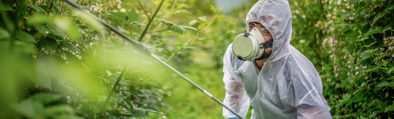 trabajador fumigando árboles